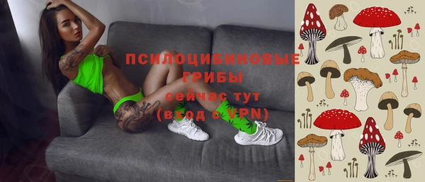 прущая мука Алзамай