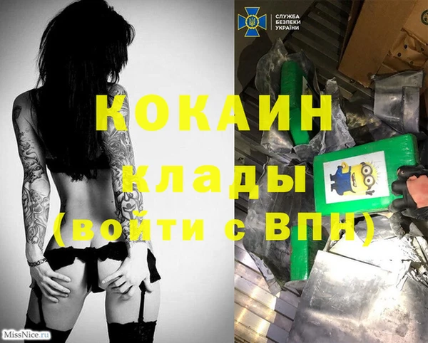 spice Алексин
