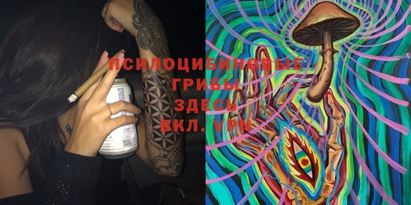 spice Алексин