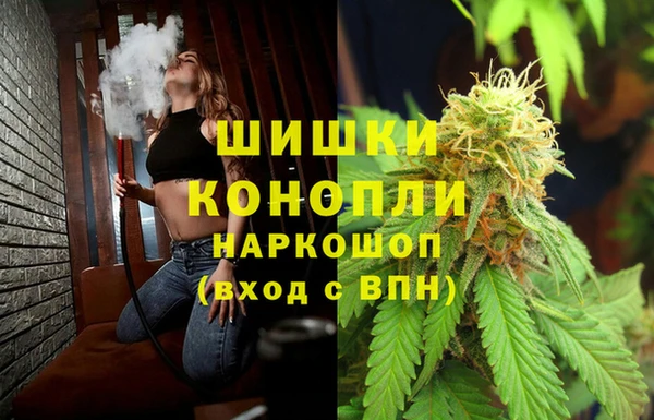 spice Алексин