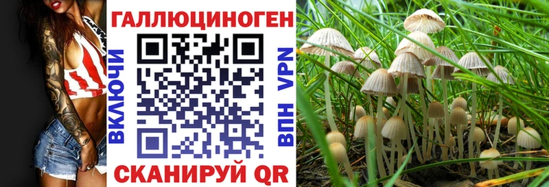Галлюциногенные грибы Psilocybe  где можно купить наркотик  Набережные Челны 